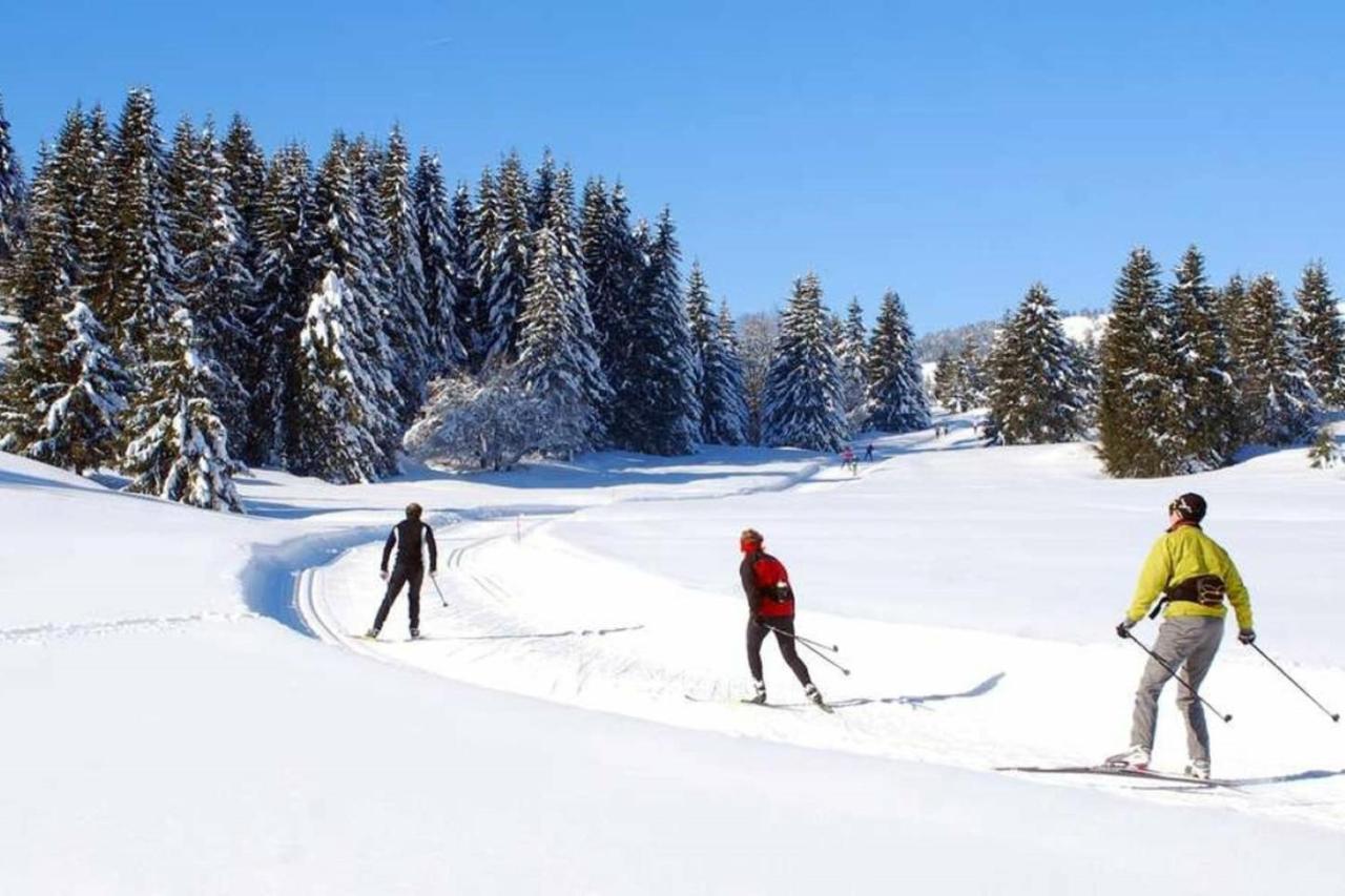 Le 67,Ski Et Randonnee,Lave Linge,Seche Linge,Parking แบร์เนซ์ ภายนอก รูปภาพ