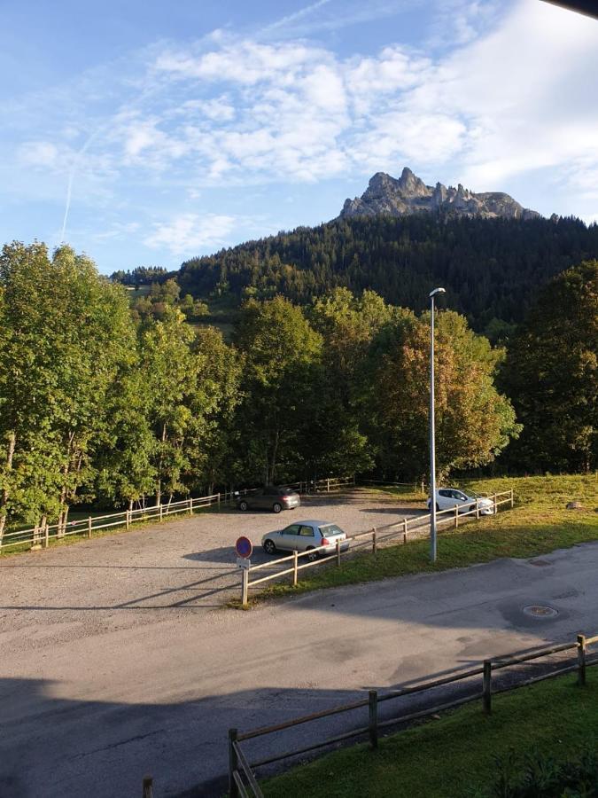 Le 67,Ski Et Randonnee,Lave Linge,Seche Linge,Parking แบร์เนซ์ ภายนอก รูปภาพ